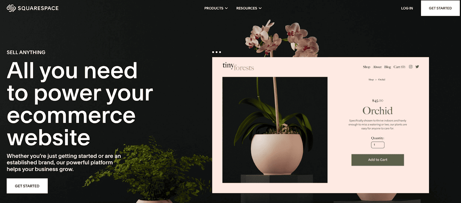 Squarespace Commerce homepage showcasing
  modern templates and eCommerce features designed for creatives and brands.